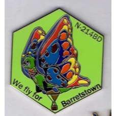 Butterfly N214BD We Fly for Barretstown Silver
